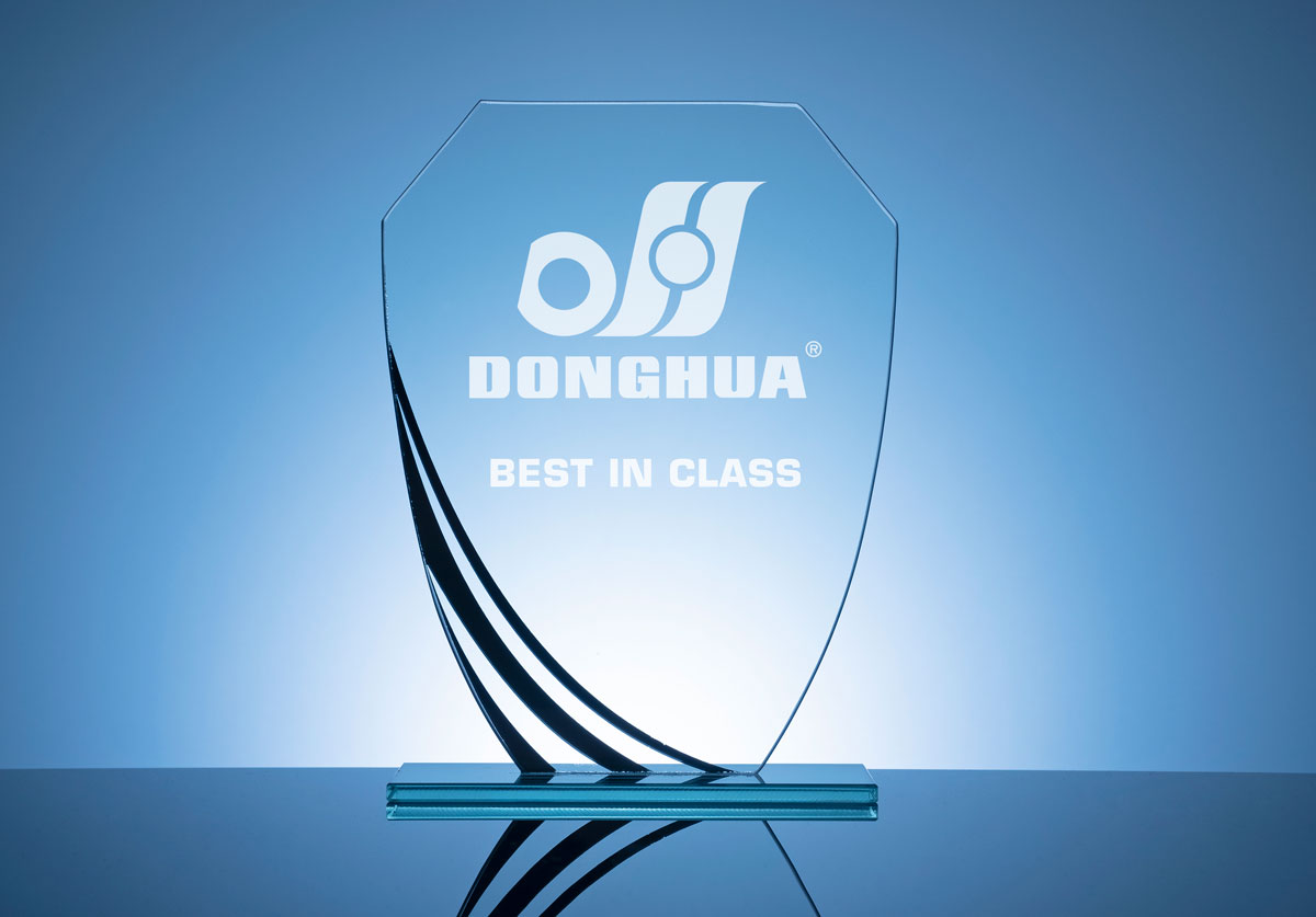 Donghua Best in Class Vision